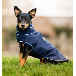 Impermeabile cane Horseware 0g per equitazione | Equi-Clic Impermeabile cane Horseware 0g per equitazione | Equi-Clic