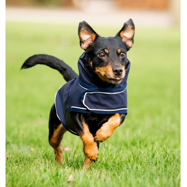 Impermeabile cane Horseware 0g per equitazione | Equi-Clic Impermeabile cane Horseware 0g per equitazione | Equi-Clic