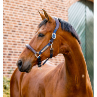 Cavezzone Horseware da concorso Signature Marrone / blu navy