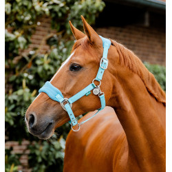 Capestro toelettatura Horseware per cavalli