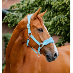 Capestro da toelettatura Signature Horseware Bruma blu