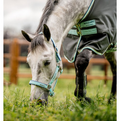 Cavezzone Speciale da Pascolo Horseware® Fieldsafe Foschia blu