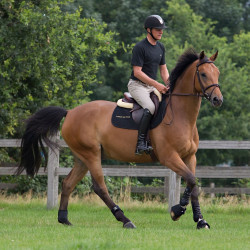 Ghette da lavoro Royal Back On Track Ghette da lavoro Royal Back On Track