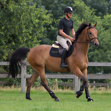 Ghette da lavoro Royal Back On Track Ghette da lavoro Royal Back On Track