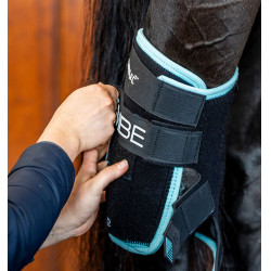 Fasce terapeutiche Ice-Vibe per garretto cavallo