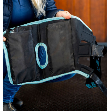 Fasce terapeutiche Ice-Vibe per garretto cavallo