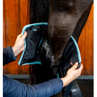 Fasce terapeutiche Ice-Vibe per garretto cavallo