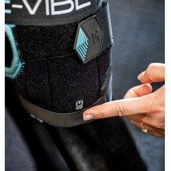 Fasce terapeutiche Ice-Vibe per garretto cavallo