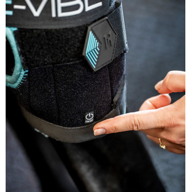 Fasce terapeutiche Ice-Vibe per garretto cavallo