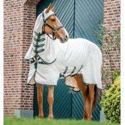 Coperta integrale Horseware Rambo hoody Pony 0g Gesso / verde cacciatore / argento Bianco Coperta integrale Horseware Rambo hoody Pony 0g Gesso / verde cacciatore / argento Bianco
