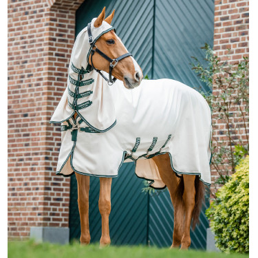 Coperta integrale Horseware Rambo hoody Pony 0g Gesso / verde cacciatore / argento Bianco Coperta integrale Horseware Rambo hoody Pony 0g Gesso / verde cacciatore / argento Bianco