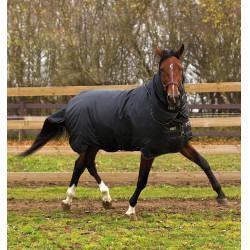 Coperta Horseware Trot Plus con copricollo 350g Nero / nero / tan Coperta Horseware Trot Plus con copricollo 350g Nero / nero / tan