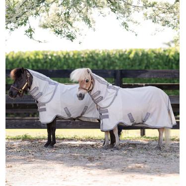 Coperta equitazione anti-mosche pony miniatura