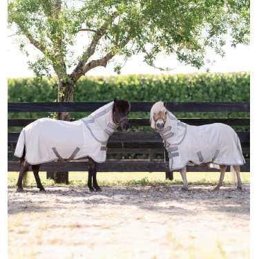 Coperta equitazione anti-mosche pony miniatura