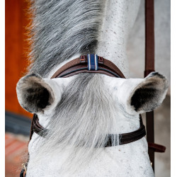 Briglia Horseware Micklem 2 Multi Havana scuro Marrone