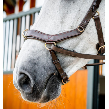 Briglia Horseware Micklem 2 Multi Havana scuro Marrone