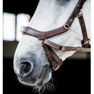 Briglia Horseware Micklem 2 Multi Havana scuro Marrone