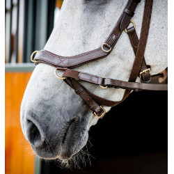 Briglia Horseware Micklem 2 Multi Havana scuro Marrone