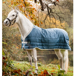 Liner Horseware 100g Eco Sarcelle eco print / grigio Blu