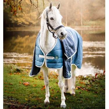 Liner Horseware 100g Eco Sarcelle eco print / grigio Blu