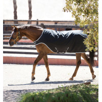 Coperta da passeggio Horseware Amigo 200g Nero / argento