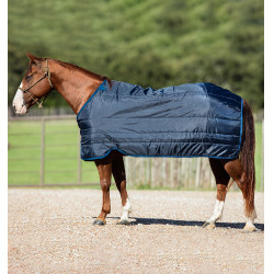 Liner 300g per cavalli - Coperta termica Horseware