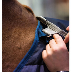 Liner 300g per cavalli - Coperta termica Horseware