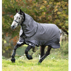 Coperta riflettente impermeabile per cavallo 100g