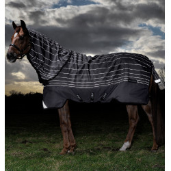 Coperta riflettente impermeabile per cavallo 100g