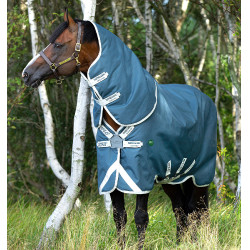 Coperta da paddock ecologica Horseware Amigo