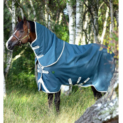 Coperta da paddock ecologica Horseware Amigo