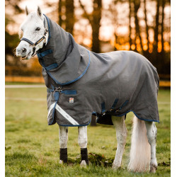 Coperta da equitazione invernale Horseware 250g