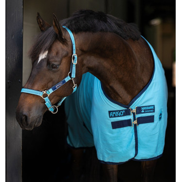 Camicia da box Horseware Amigo Delphinium 0g Blu delfino / blu navy Camicia da box Horseware Amigo Delphinium 0g Blu delfino / blu navy