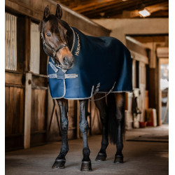 Maglia traspirante Horseware Rambo Airmax Cooler Disc Marino / temporale / grigio argento Blu marino