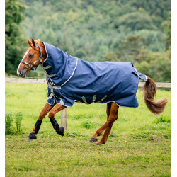 Coperta Horseware Amigo® Bravo 12 Plus 250g 1200D Marina / grigio titanio / argento Blu marino