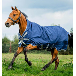 Coperta Horseware High Neck Amigo® Bravo 12 Original 250g 1200D Marina / grigio titanio / argento Blu marino