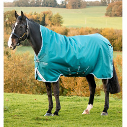 Coperta Horseware High Neck Amigo® Bravo 12 Original 250g 1200D Verde / acqua