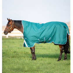 Coperta Horseware High Neck Amigo® Bravo 12 Original 250g 1200D Verde / acqua