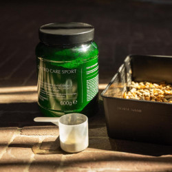Integratore cavalli sportivi gastro Kentucky | Equitazione