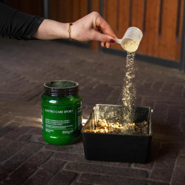 Integratore cavalli sportivi gastro Kentucky | Equitazione
