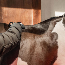 Gel doccia caldo Amande Grooming Deluxe by Kentucky Mandorla Marrone Gel doccia caldo Amande Grooming Deluxe by Kentucky Mandorla Marrone