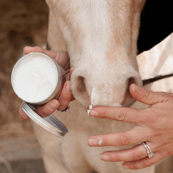 Crema solare cavallo SPF 30+ Kentucky | Equitazione