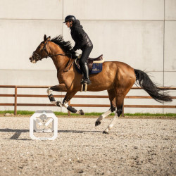 Cavaletti in alluminio per equitazione Kentucky (x2)