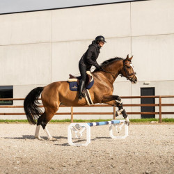 Cavaletti in alluminio per equitazione Kentucky (x2)