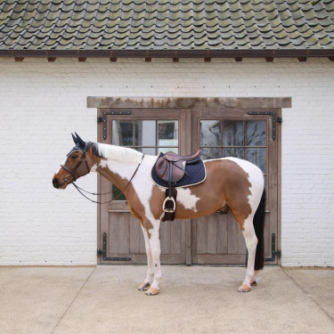 Sottosella jumping softshell Kentucky per equitazione Sottosella jumping softshell Kentucky per equitazione