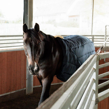 Sottopancia walker in pelliccia sintetica Kentucky | Equitazione