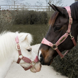 Capestro Velvet Unicorno glitterato Kentucky Rosa antico