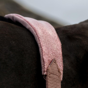 Capestro Velvet Unicorno glitterato Kentucky Rosa antico