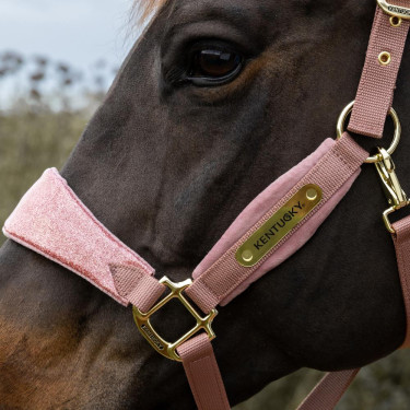 Capestro Velvet Unicorno glitterato Kentucky Rosa antico