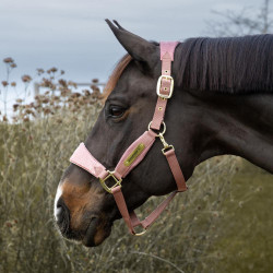 Capestro Velvet Unicorno glitterato Kentucky Rosa antico